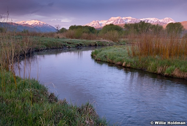 Timpanogos Spring 043015 8284