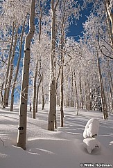 deepowder012810 0600