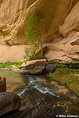 Death Hollow Waterfall 050524 7719 2