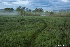 Provo River Mist 050916 2975