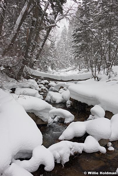 Winter Creek 022513 00755