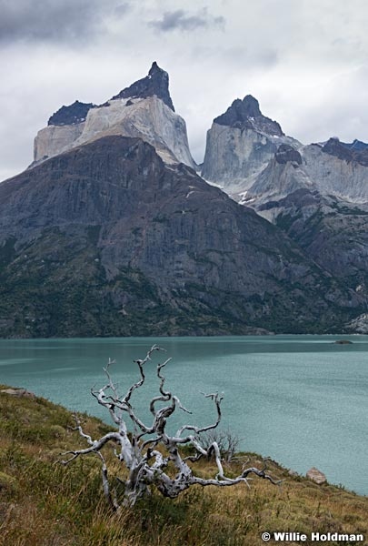 Torres Del Paine Lake 031616 7956