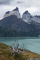 Torres Del Paine Lake 031616 7956