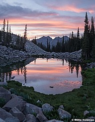 Maybird Reflection Sunset 071618 2397