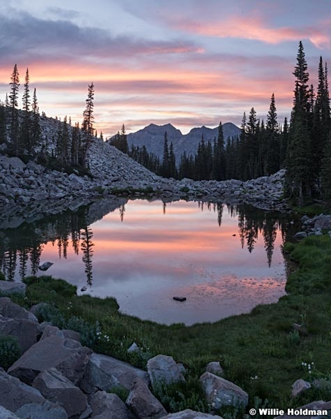 Maybird Reflection Sunset 071618 2397