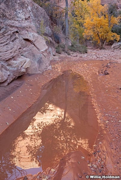 Grand Gulch 101912 1215