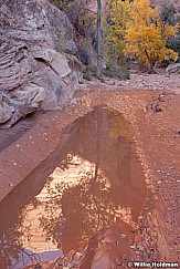 Grand Gulch 101912 1215