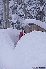 Backcountry Ski