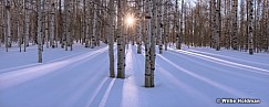 Sunburst Aspen Pano 011614