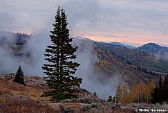 Pinetree Park City 092512