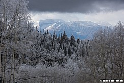 Frosty Trees Timp 111716 2855 4