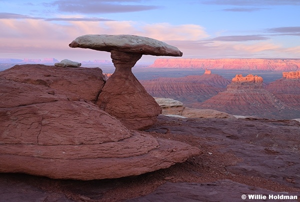 Bonnett Rock 042326 4934
