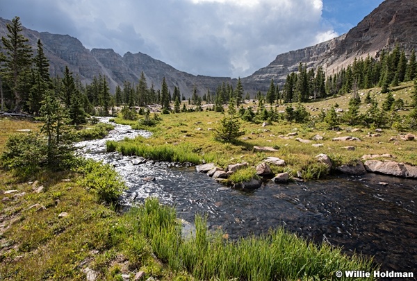 Uinta-Stream-081315-4598