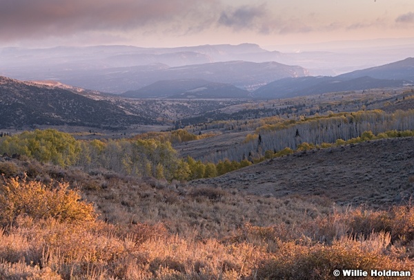 Castle valley Aspens 101019 4