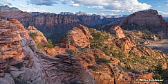 Zion Scattered Light Utah 030220 5087