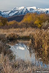 Timpanogos Cottonwoods Stream 103021 1189 2