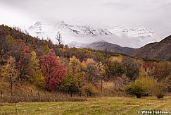 Timpanogos South Fork 100818 9119 3