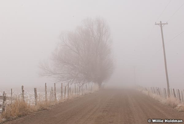 Nothfieldsfog111308 9593