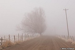 Nothfieldsfog111308 9593