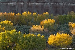 Cottonwood Badlands 102722 5286