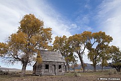 Abandon House 101112 46