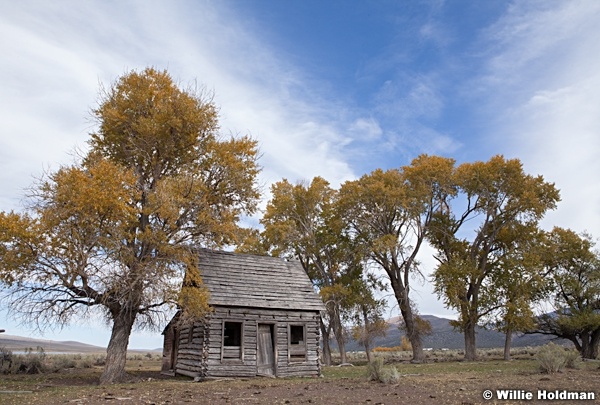Abandon House 101112 46