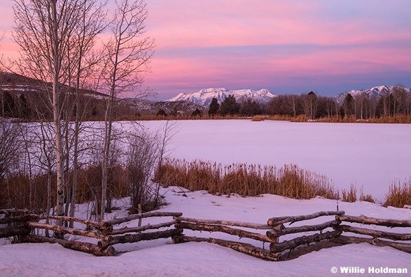 Frozen Lake Timp Pinks 122424 2250 2