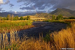 D09090554