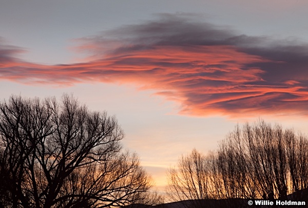 Pink Cloud 120512 5481