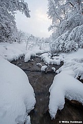 Snowy Creek 010517 9191 6