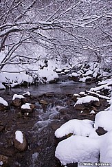 North Fork Stream 020315 0227