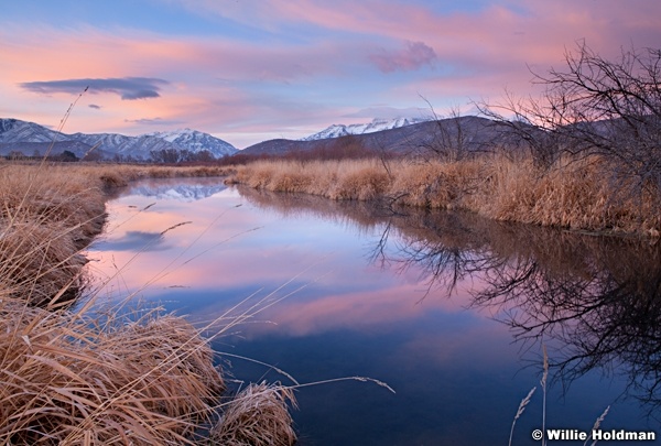 Timpmarsh123011123011 60