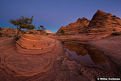 Zion Waterhole Reflection 111215 2758