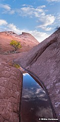 Lone Escalante Cottonwood 5x7 102518 4418