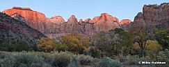 Zion Towers of The Virgin 111021 3741