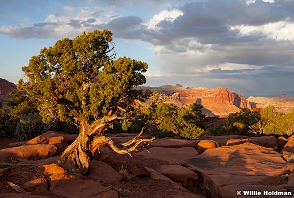 Capitol Reef Sunset 052013 2010