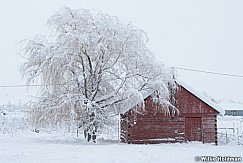 Red Shed winter 011414 2883 2833