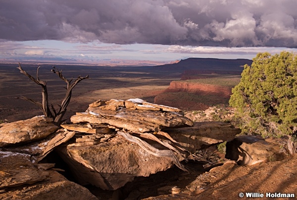 Cedar Mesa Storm 042614 042614 7370