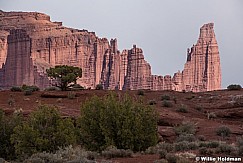 Fisher Towers Castle Valley 032020 6430