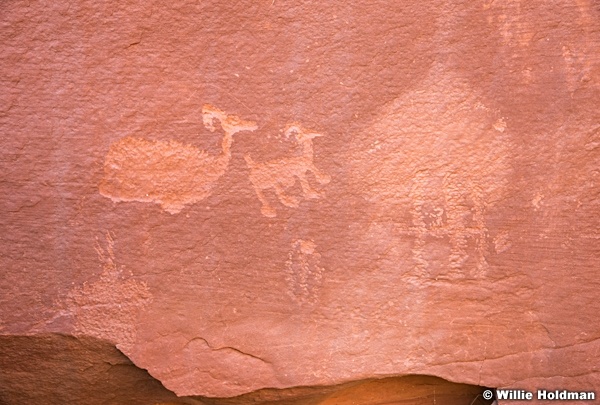 Petroglyphs 050416 0410