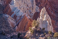Cottonwood Canyon Bandlands 021315 8848