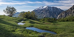 Timpanogos Spring Ponds 061219