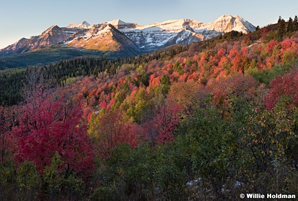 Timpanogos Autumn Snow 092416