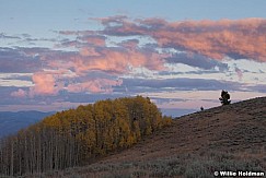 Pinkcloudsaspens101910 5769