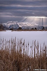 Timpanogos Rays Cattails 031108 5064