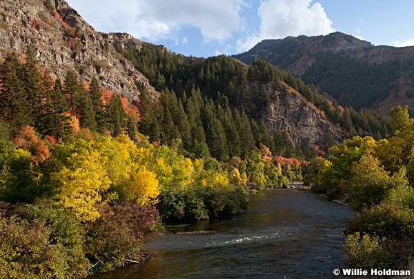 Provo River 092412 189
