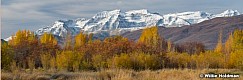 Snow Capped Timpanogos Autumn 102021 7665F