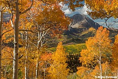 Orange Aspens Framing Timp 092925 9032 2