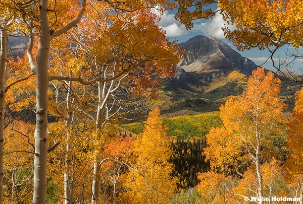 Orange Aspens Framing Timp 092925 9032 2