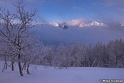Powder Snow Wasatch 030315 0370